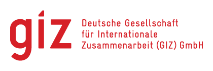 GIZ GIZ Logo